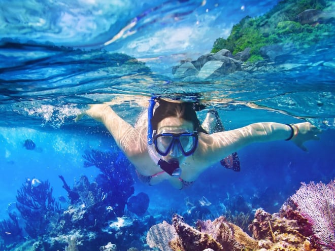 Excursiones de buceo y snorkel desde Punta Cana hasta la isla Catalina