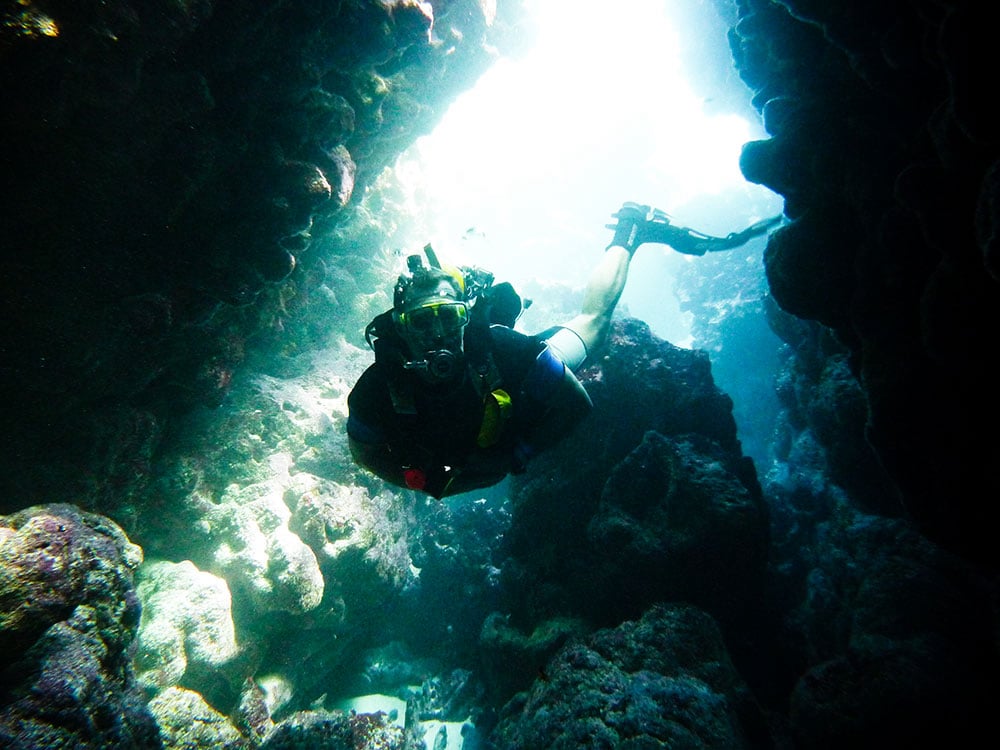 Snorkeling Excusions in Punta Cana Dominican Republic