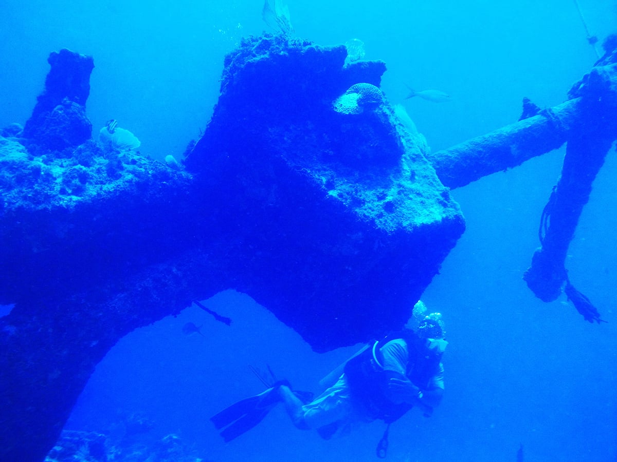 Local Diving in Bavaro, Punta Cana DR