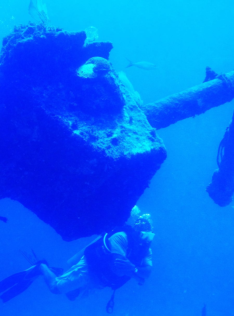 Local Diving for PADI & ESA Certified Divers in Bavaro, Punta Cana.