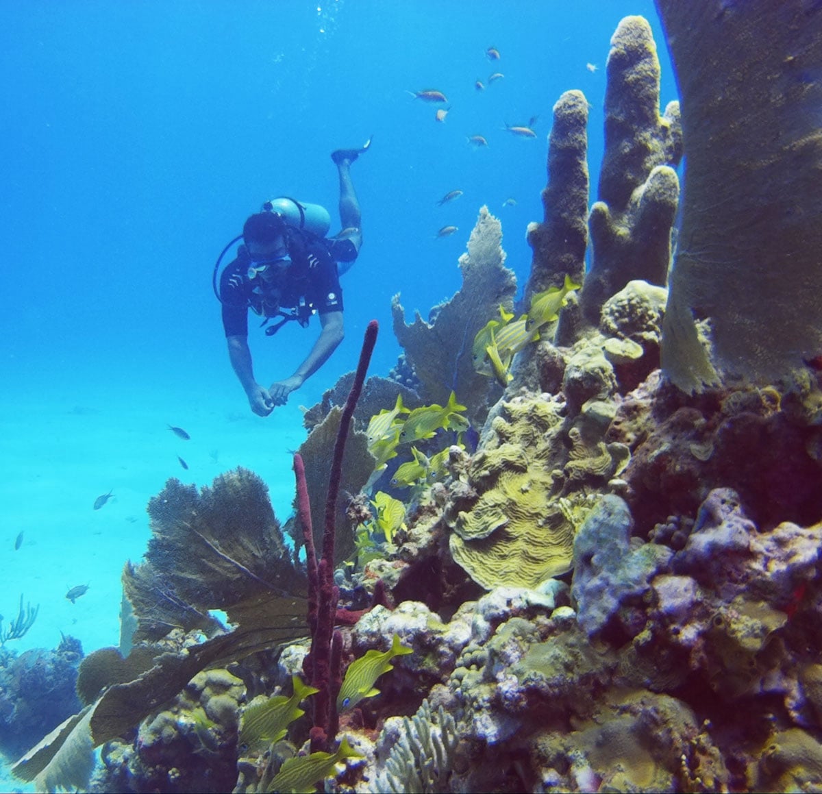 Scuba Diving Center in Punta Cana Dominican Republic
