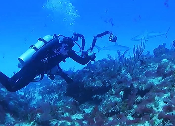 Diving Excusions from Punta Cana Dominican Republic