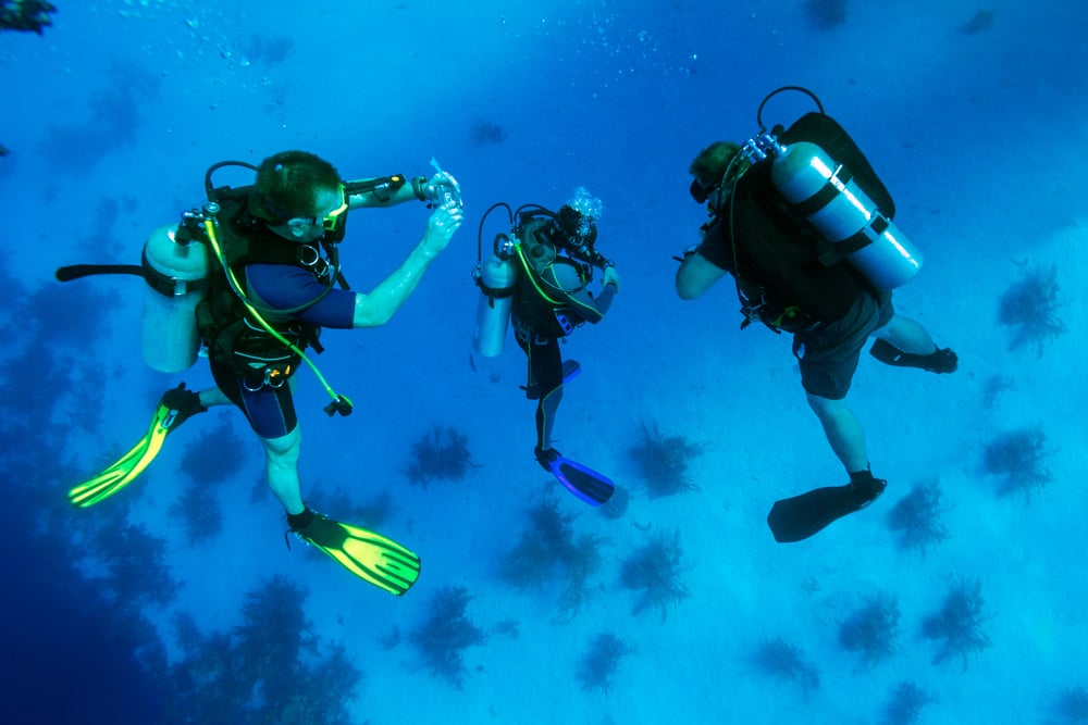 Mejor buceo en Bavaro Punta Cana!