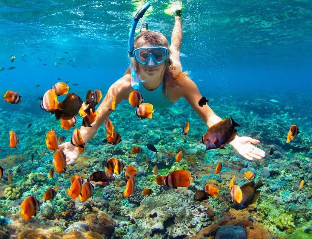 Do the Best Diving at Catalina island from Bavaro, Punta Cana hotels.