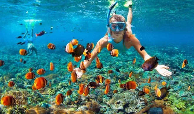 Excursiones de buceo y snorkel a la isla Saona desde los hoteles de Bavaro y Punta Cana