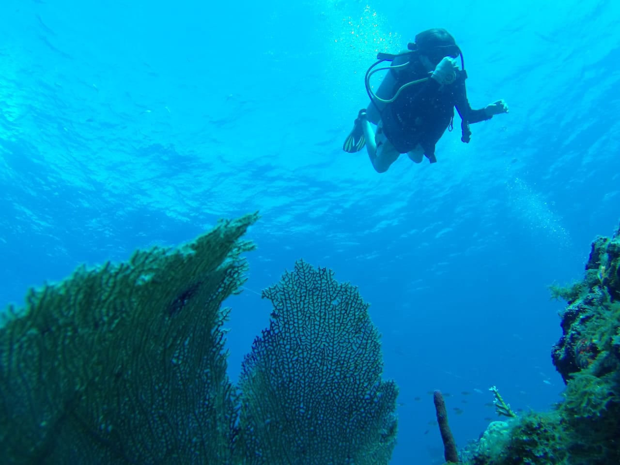 Snorkeling Excusions in Punta Cana Dominican Republic